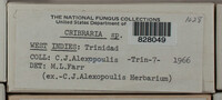 Image Associated With the Occurrence